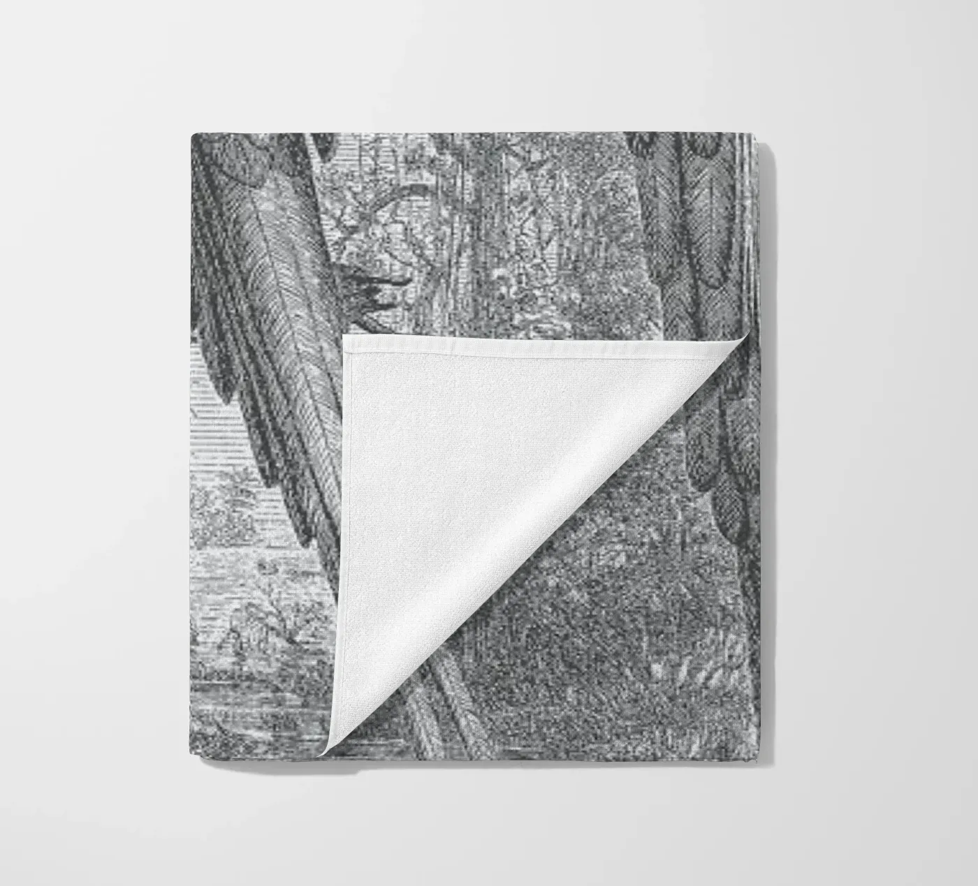 Macaws Parrots telo mare da Astër