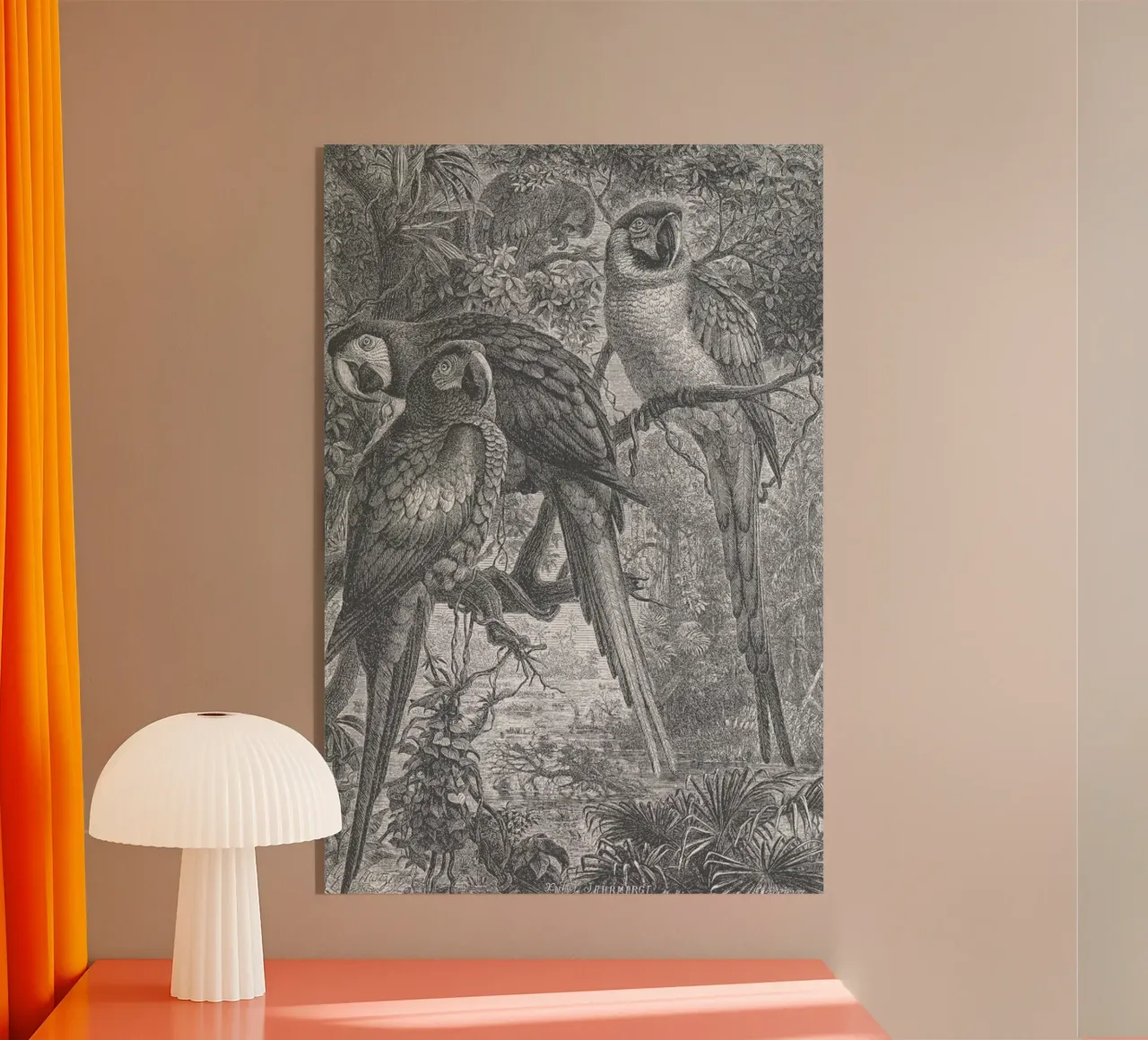 Macaws Parrots plexiglass da Astër