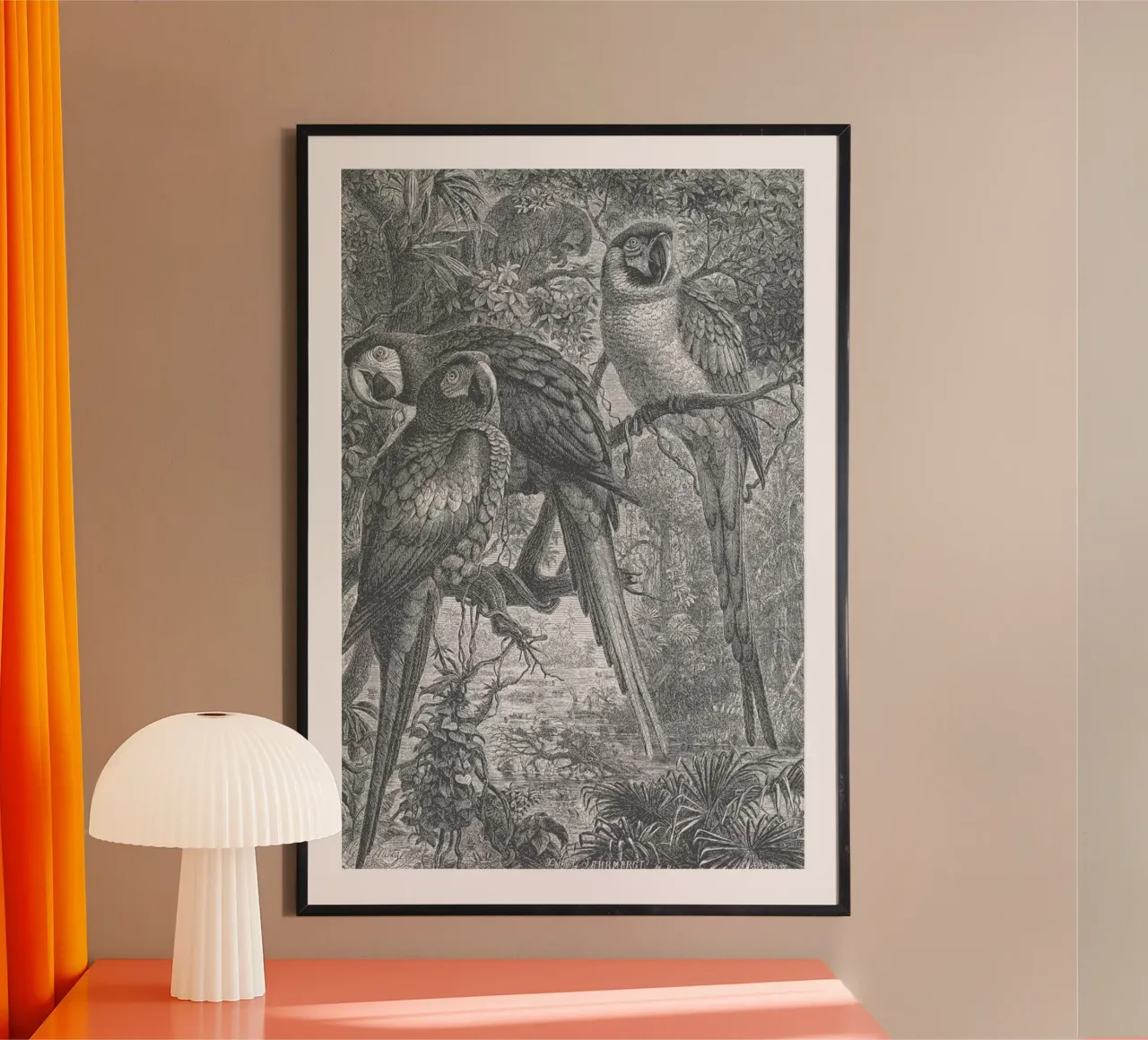 Macaws Parrots poster by Astër