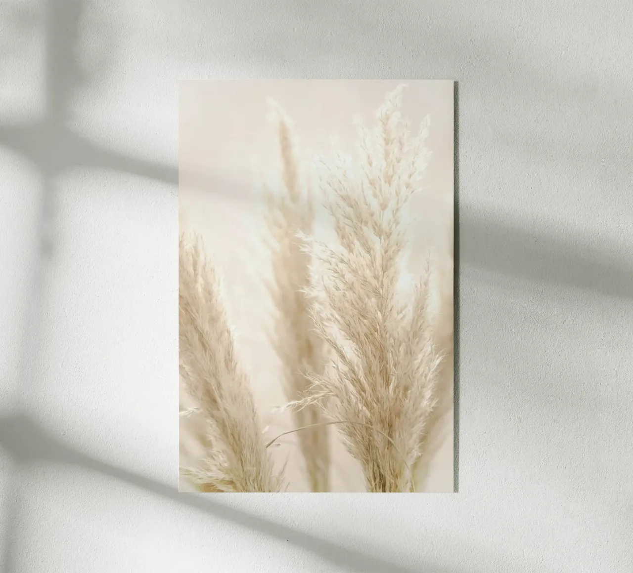 Pampas Reed 8 plexiglass da Monika Strigel