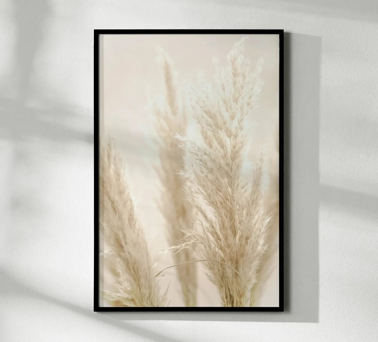 Pampas Reed 8 poster con telaio in alluminio da Monika Strigel