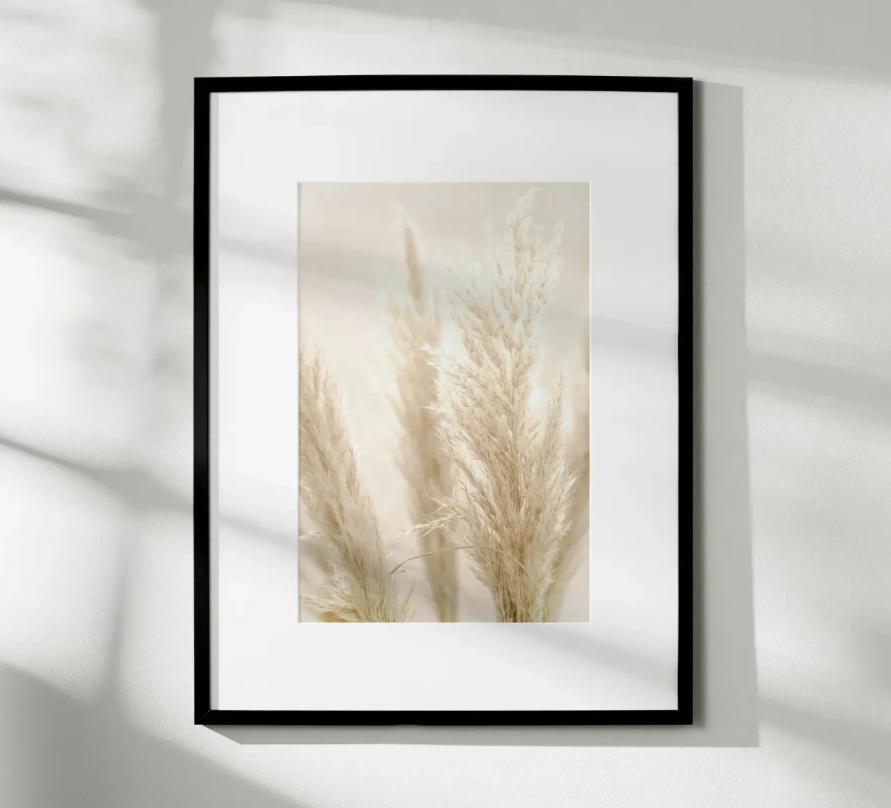 Pampas Reed 8 poster con telaio in alluminio da Monika Strigel