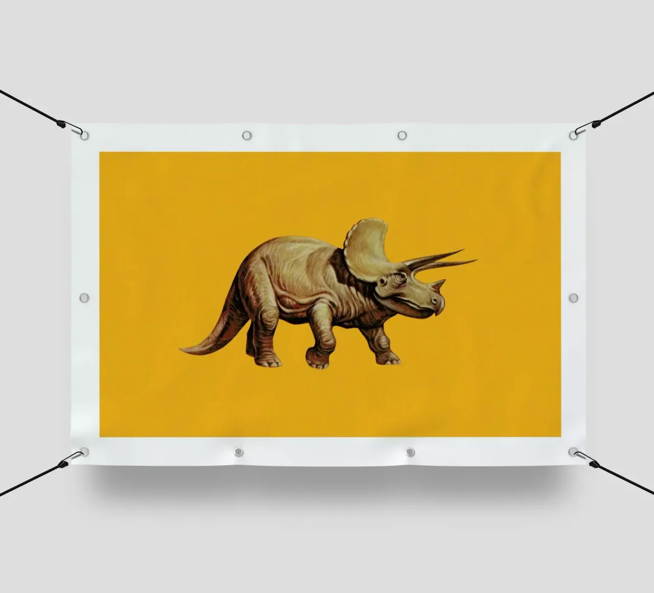 Triceratops telo in pvc da Flora & Fauna