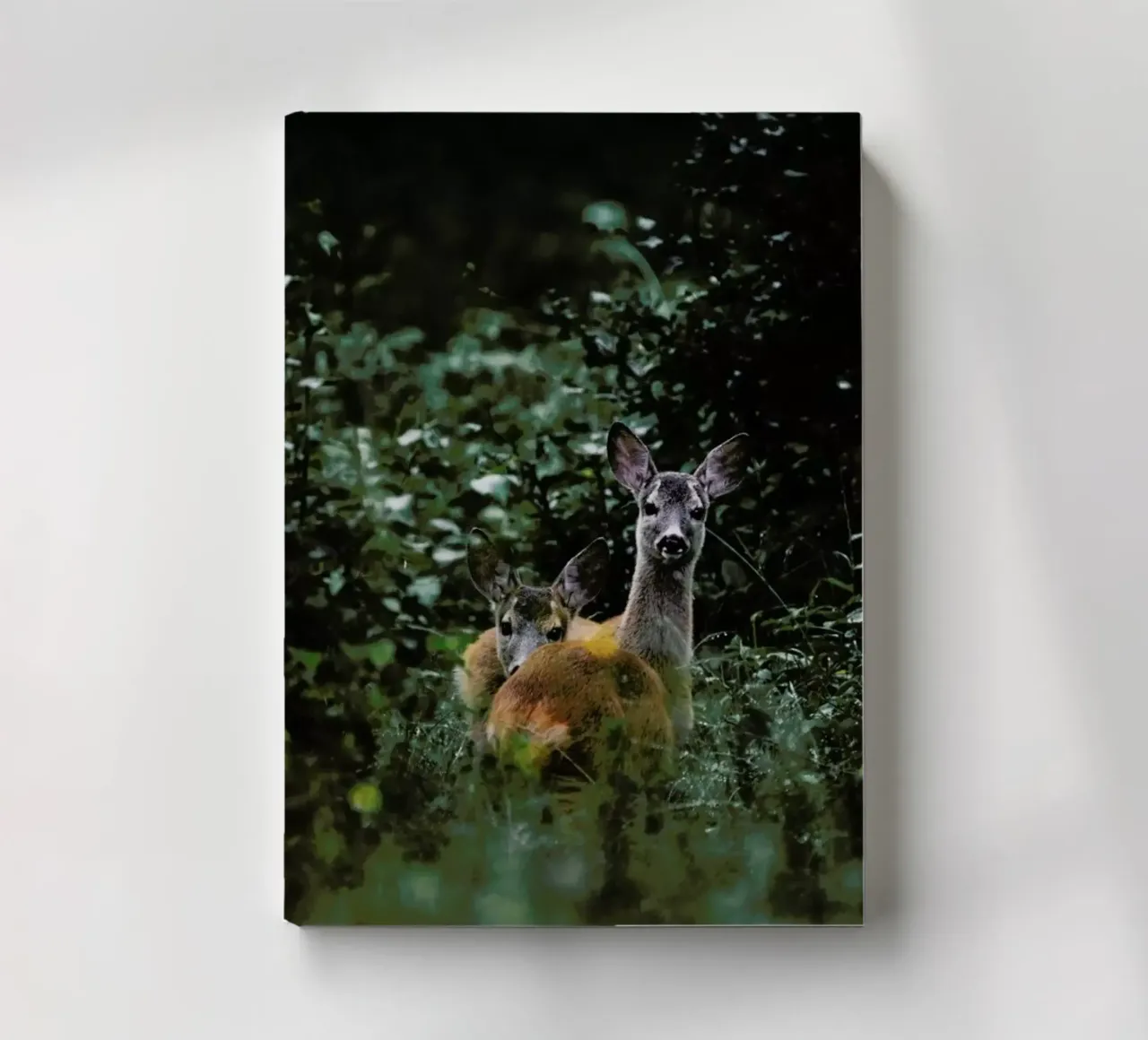 Friend Or Foe? by @szabo_ervin_edward notebook by EyeEm Mobile GmbH