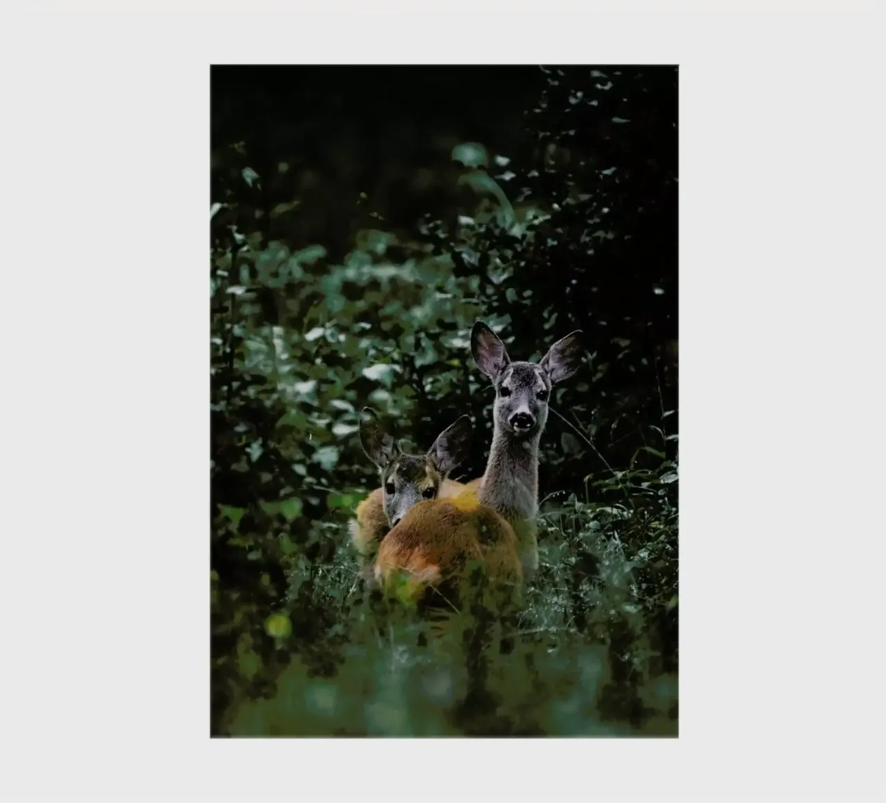 Friend Or Foe? by @szabo_ervin_edward notebook by EyeEm Mobile GmbH