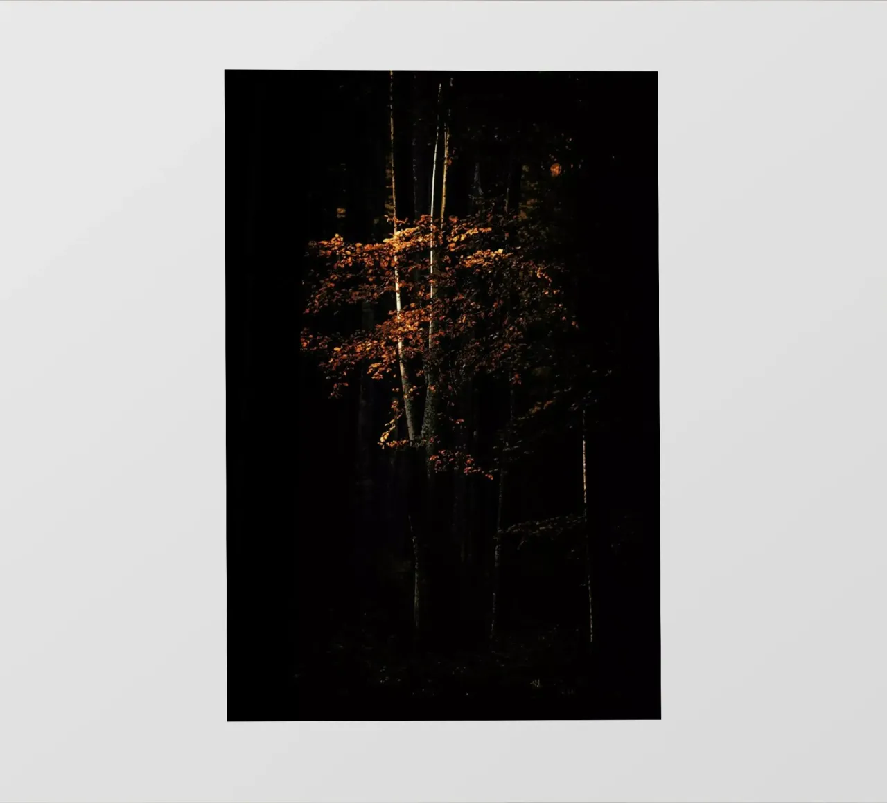 Molten Sunlight by @szabo_ervin_edward telo in pvc da EyeEm Mobile GmbH