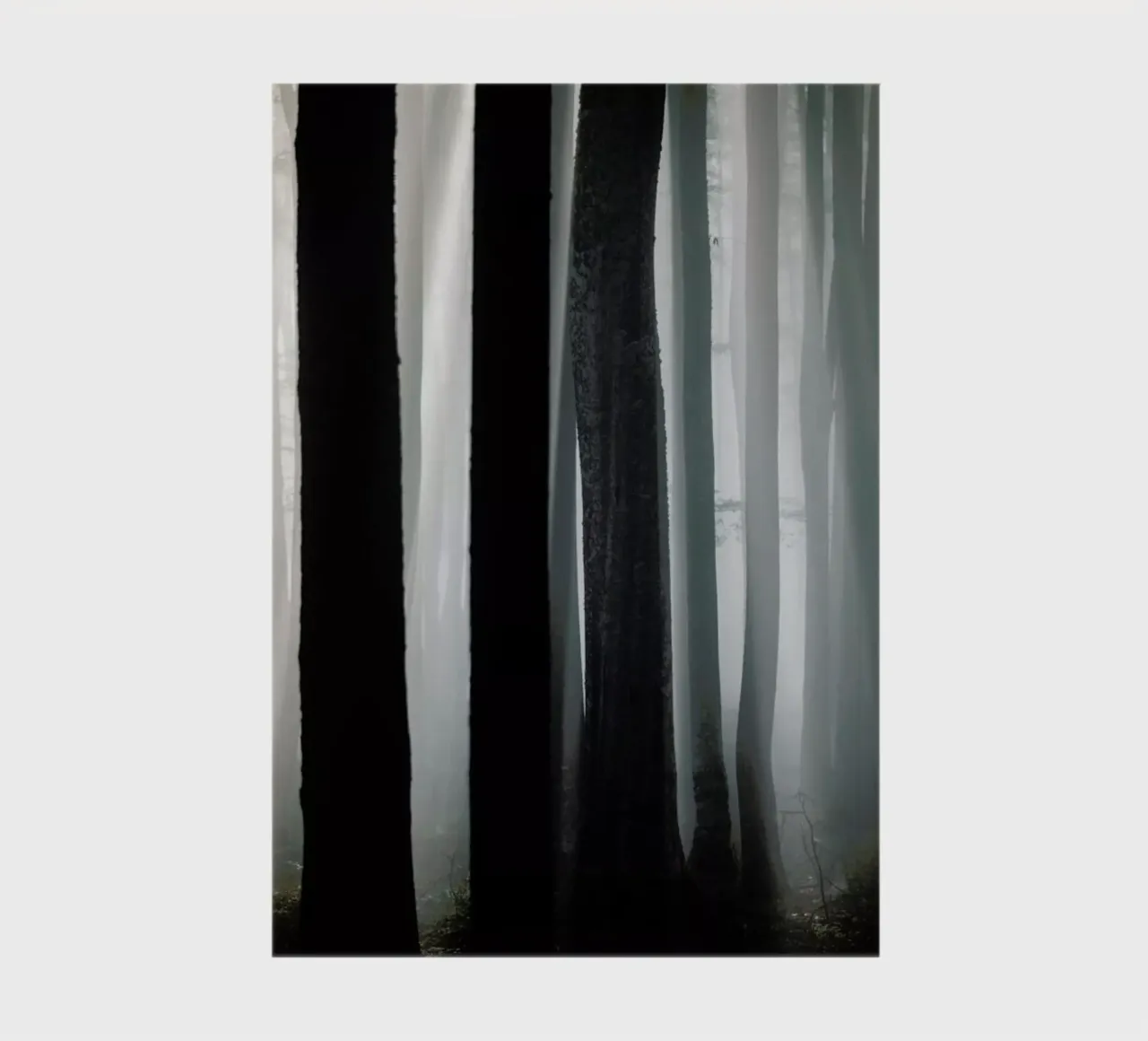A Natural Guide by @szabo_ervin_edward notebook by EyeEm Mobile GmbH