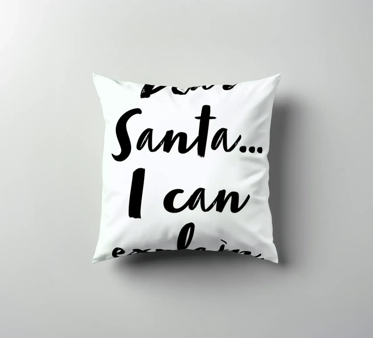 I Can Explain cuscino da daylight design studio