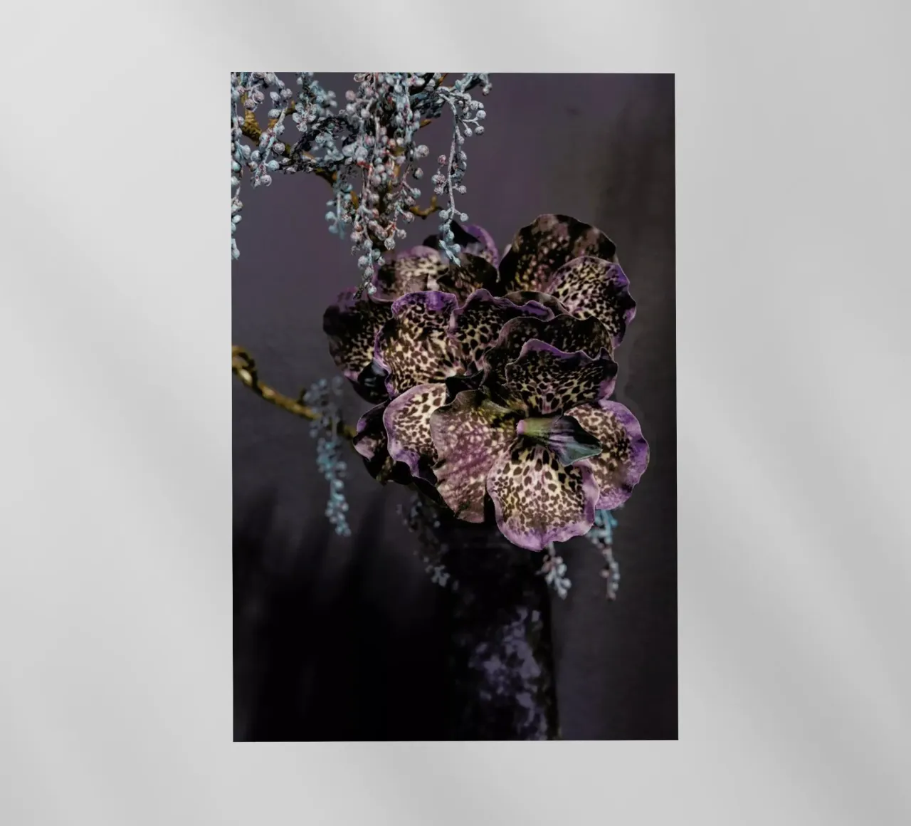 Still Life 1 pellicola backlit da Curious Collections by Marielle Leenders