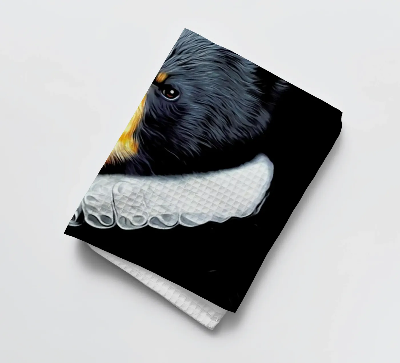 Jon theedoek van Tein Lucasson