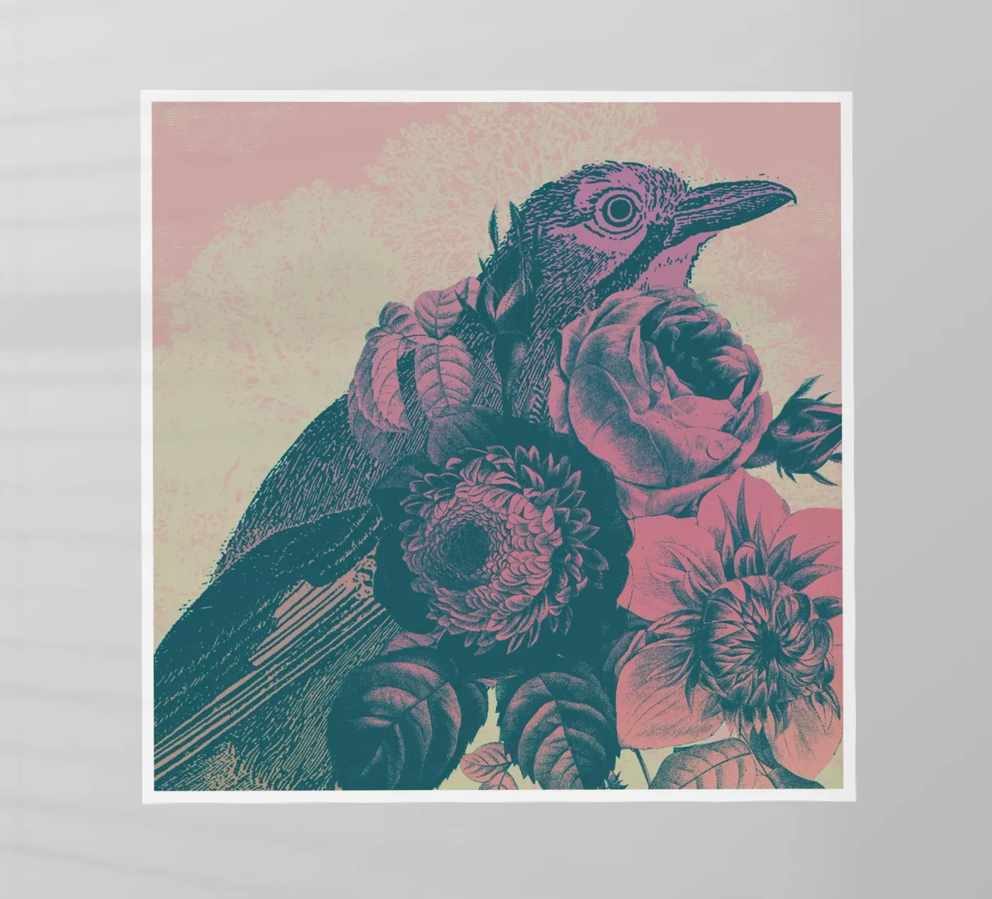 Eichelhäher pellicola backlit da Charlie's Heart