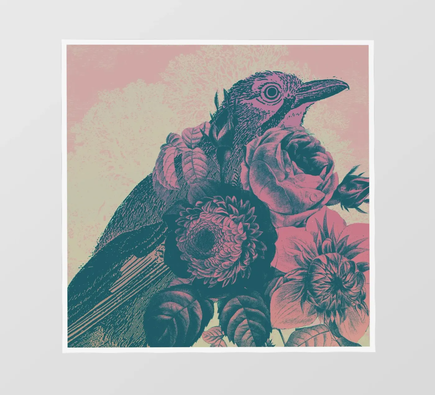 Eichelhäher pellicola backlit da Charlie's Heart