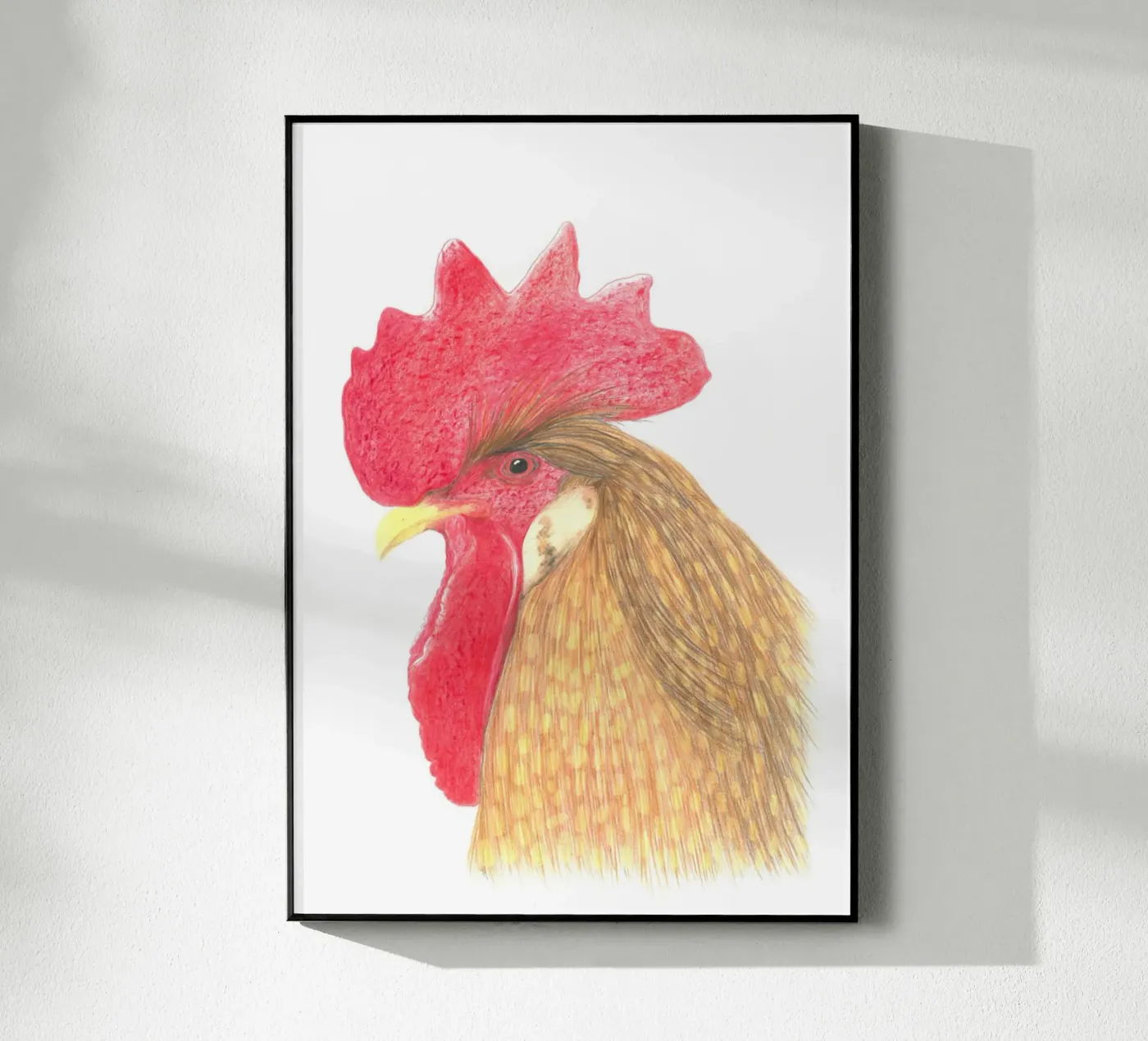 Hahn Acryl-Glas von PENCILS & TALES