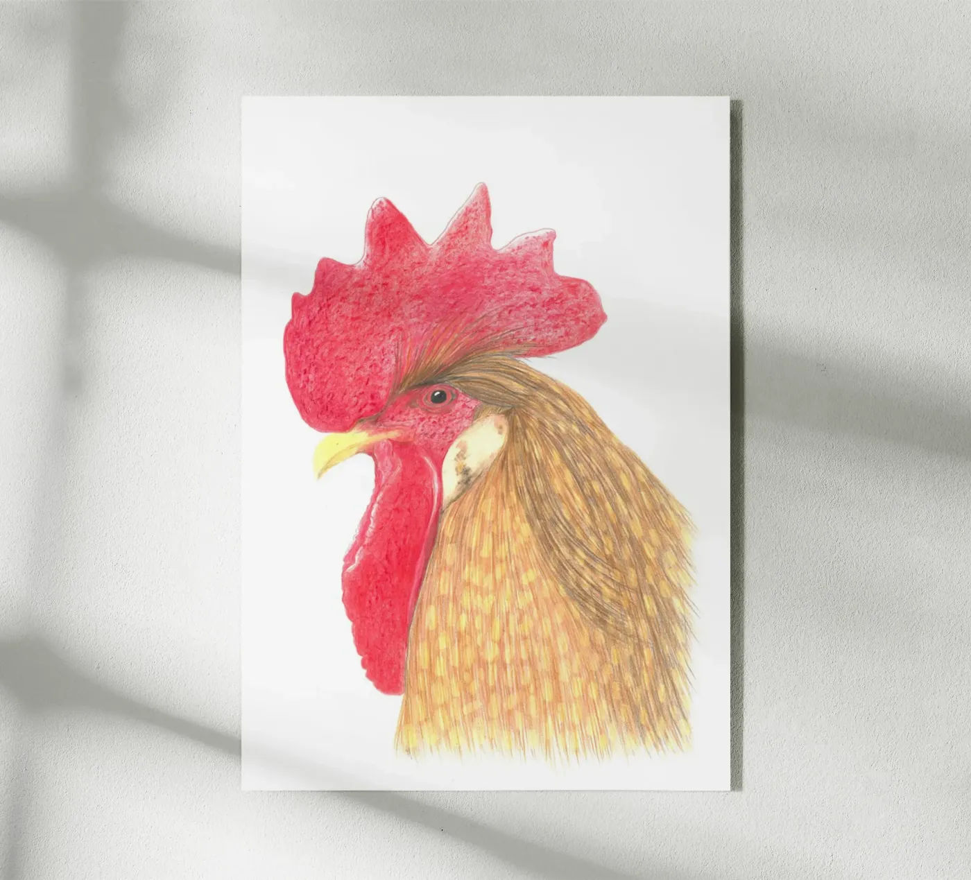 Hahn Acryl-Glas von PENCILS & TALES