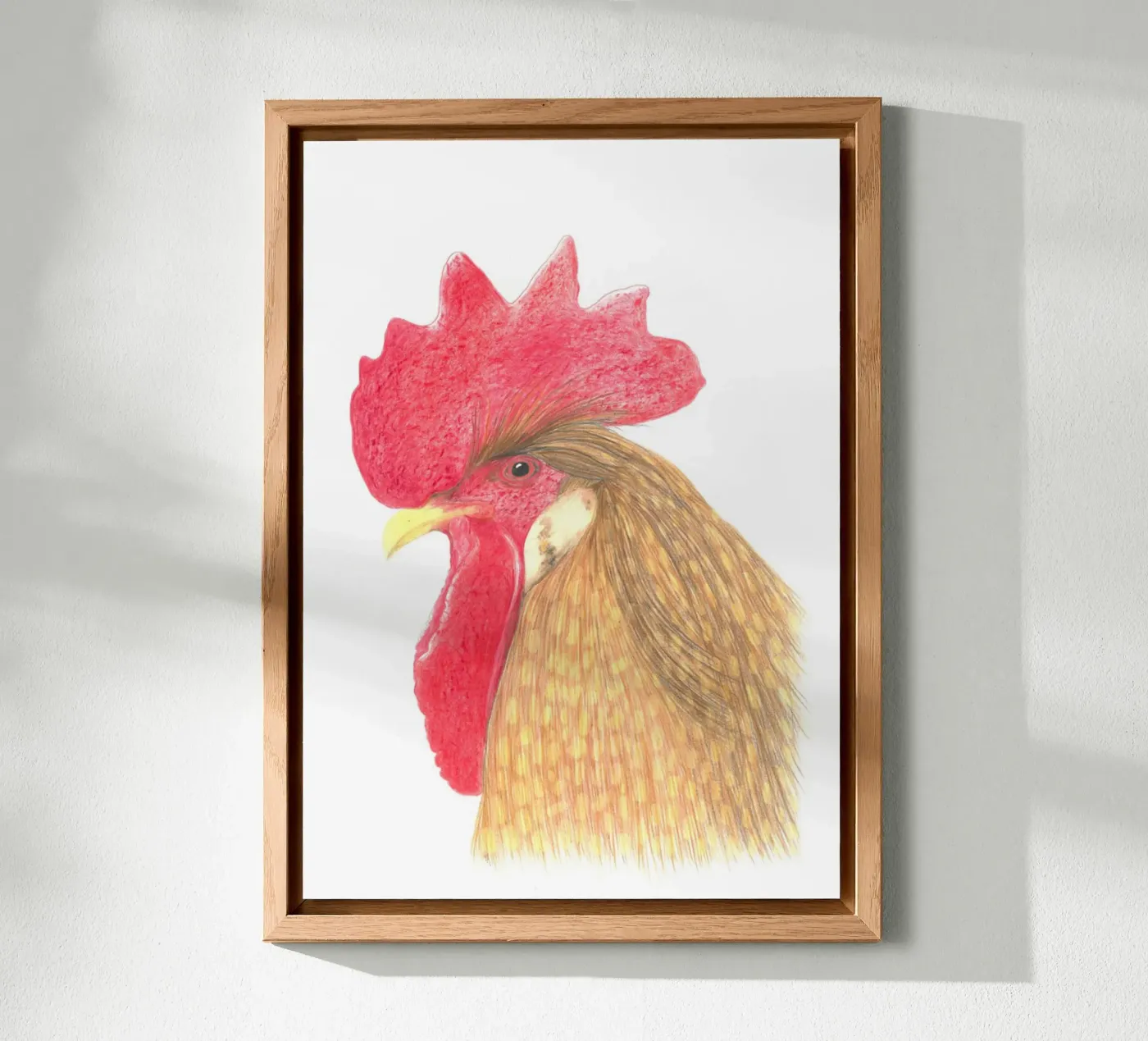 Gallo alluminio dibond da PENCILS & TALES