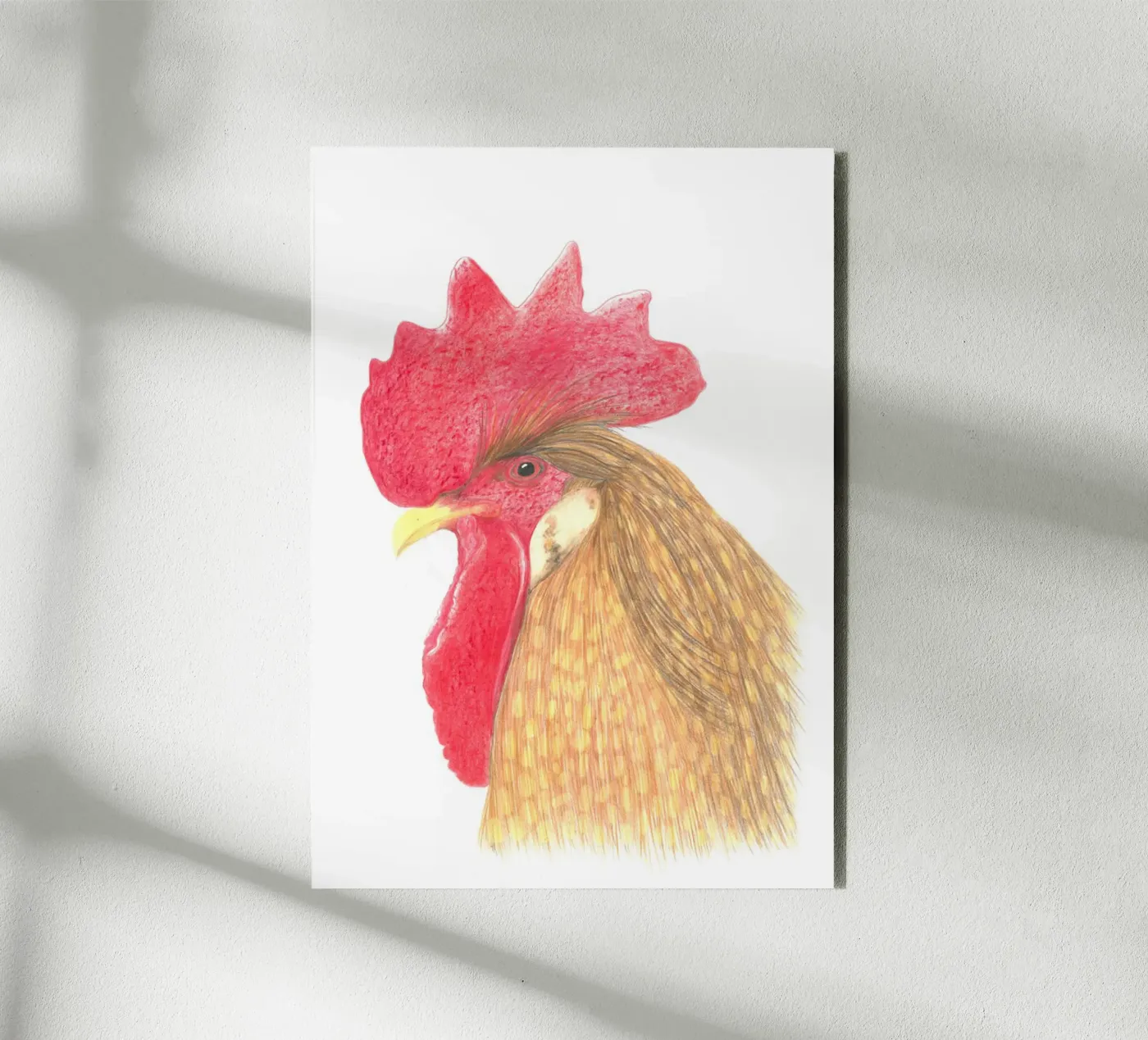 Gallo alluminio dibond da PENCILS & TALES
