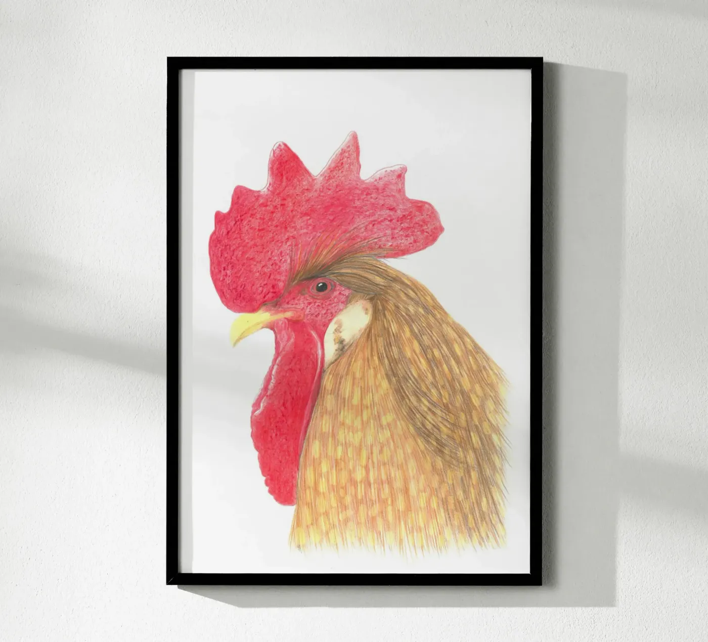 Cock poster da PENCILS & TALES