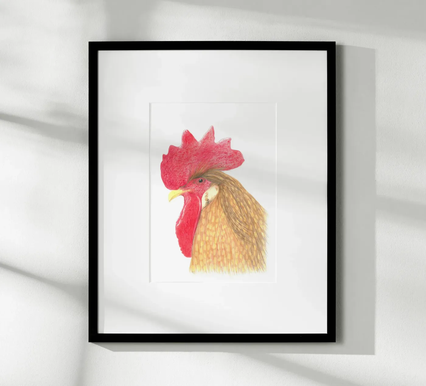 Cock poster da PENCILS & TALES