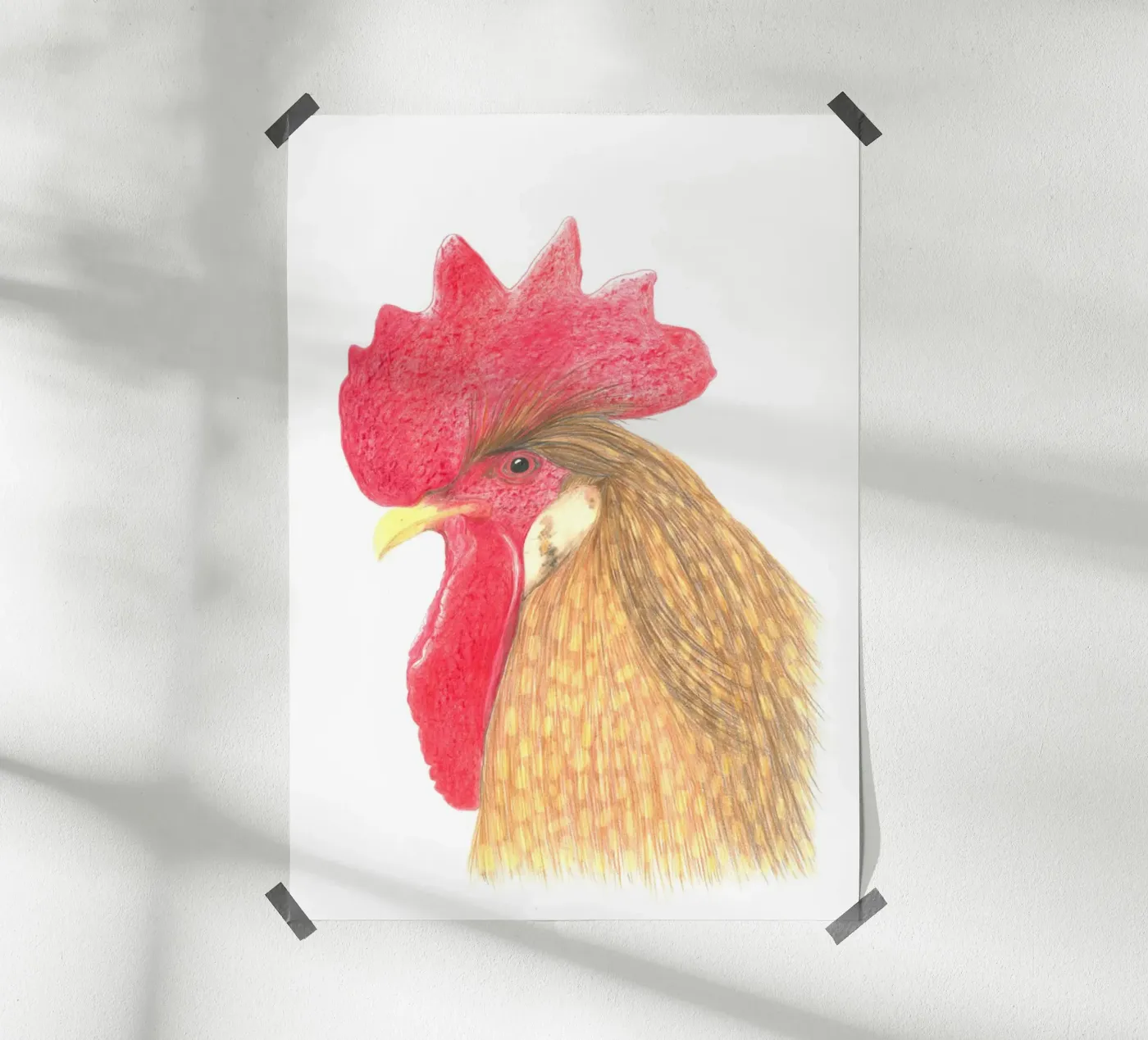 Cock poster da PENCILS & TALES