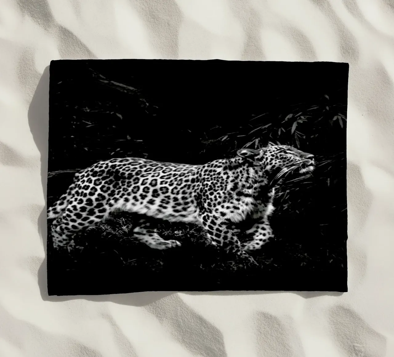 Leopard In Black And White telo mare da Natural Kingdom