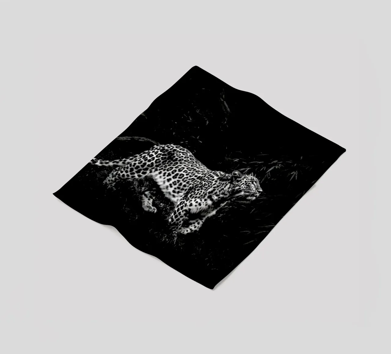 Leopard In Black And White coperta in pile da Natural Kingdom