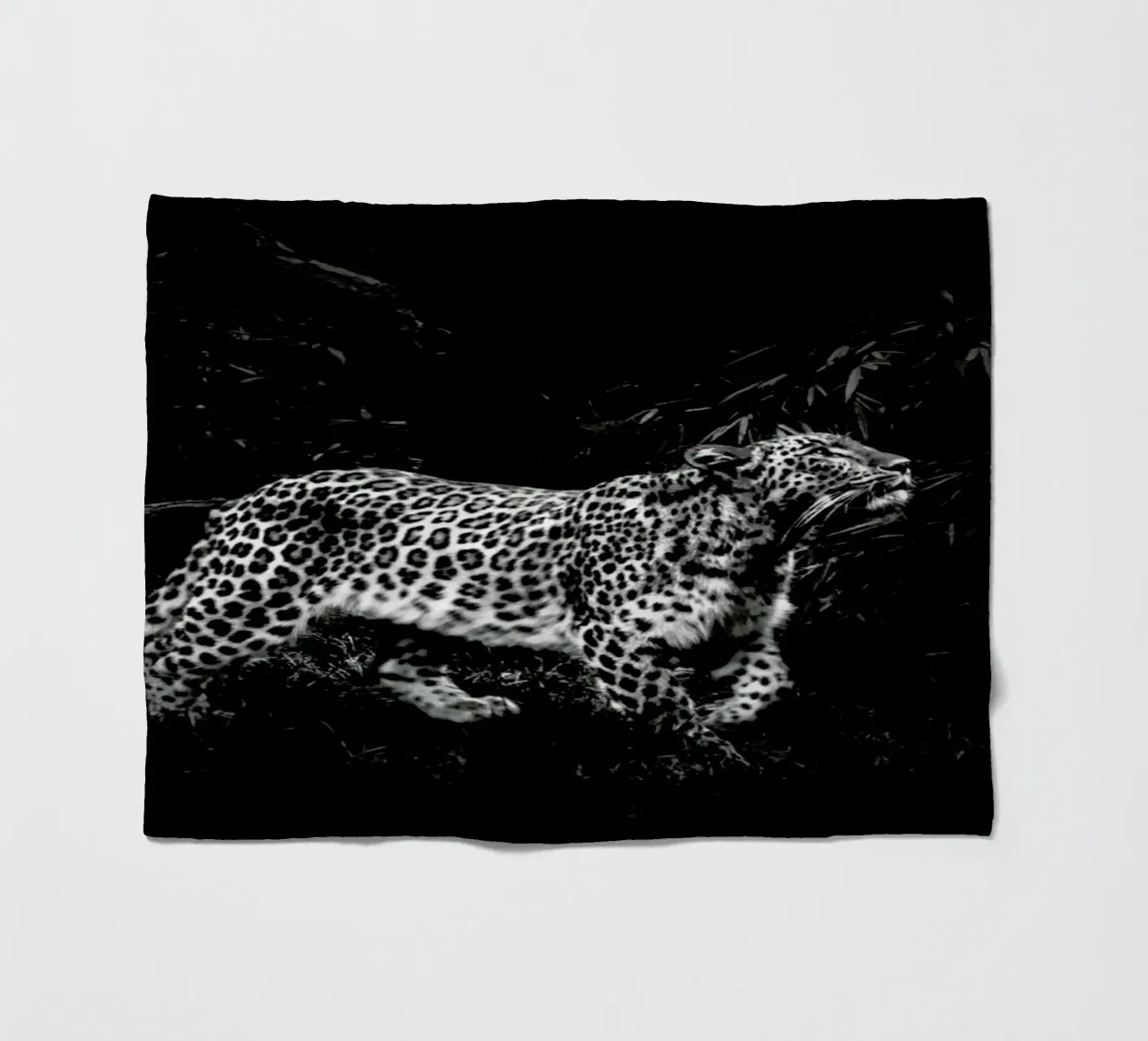 Leopard In Black And White coperta in pile da Natural Kingdom