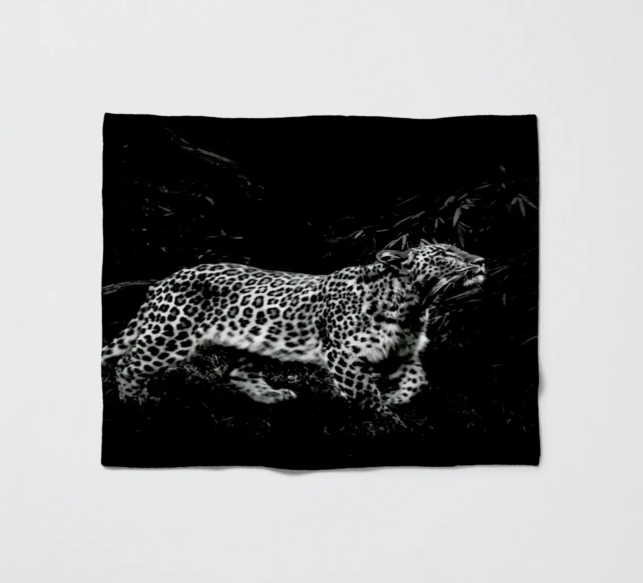 Leopard In Black And White coperta in pile da Natural Kingdom