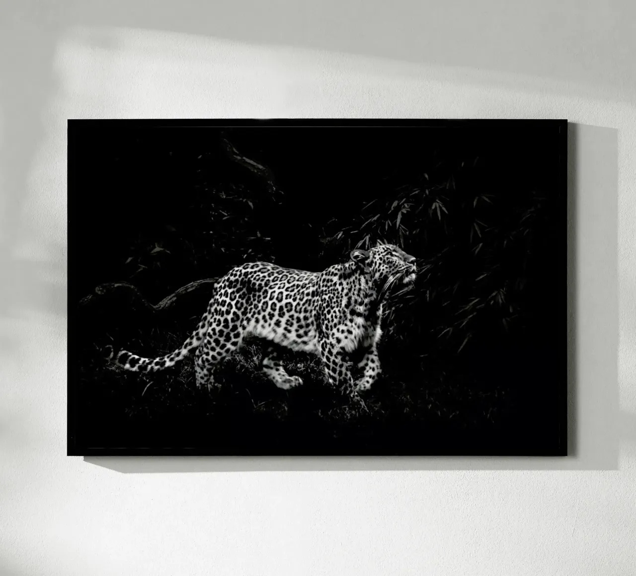 Leopard In Black And White carta hahnemühle da Natural Kingdom