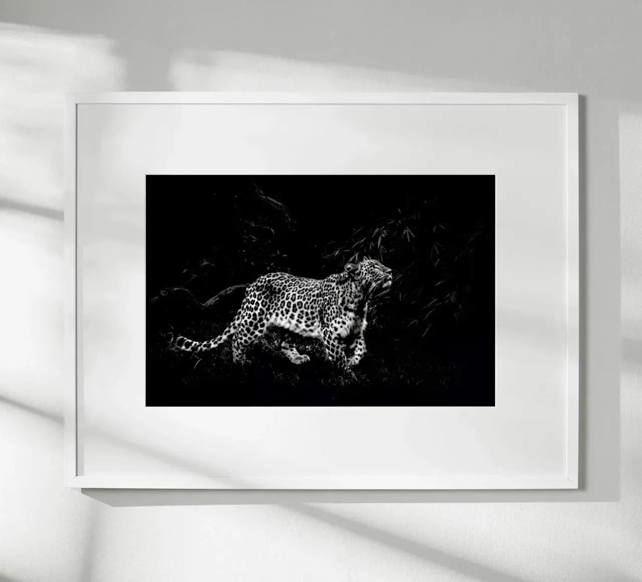 Leopard In Black And White carta hahnemühle da Natural Kingdom