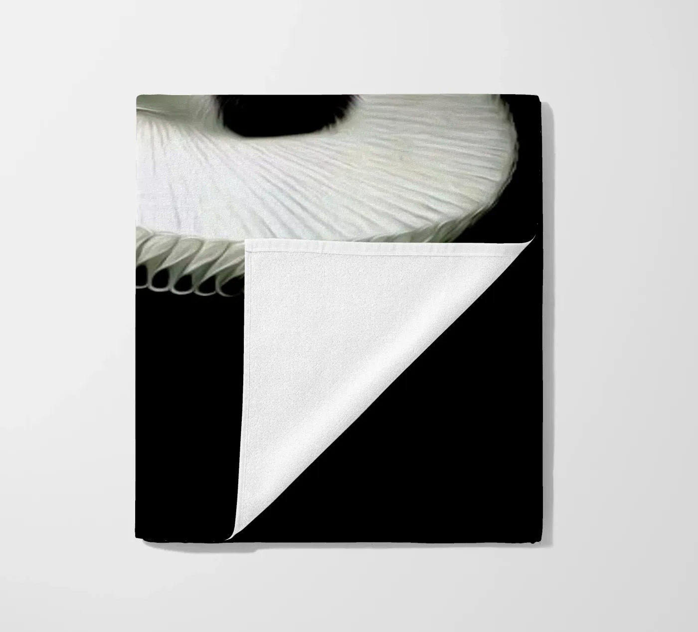 Hella telo mare da Tein Lucasson