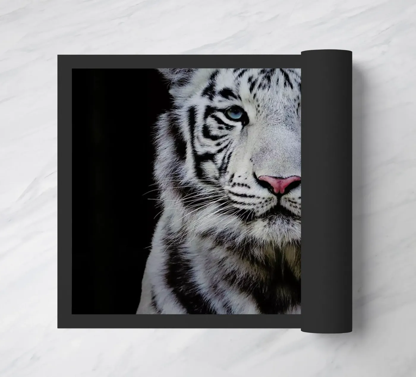 White Tiger zerbino da Natural Kingdom