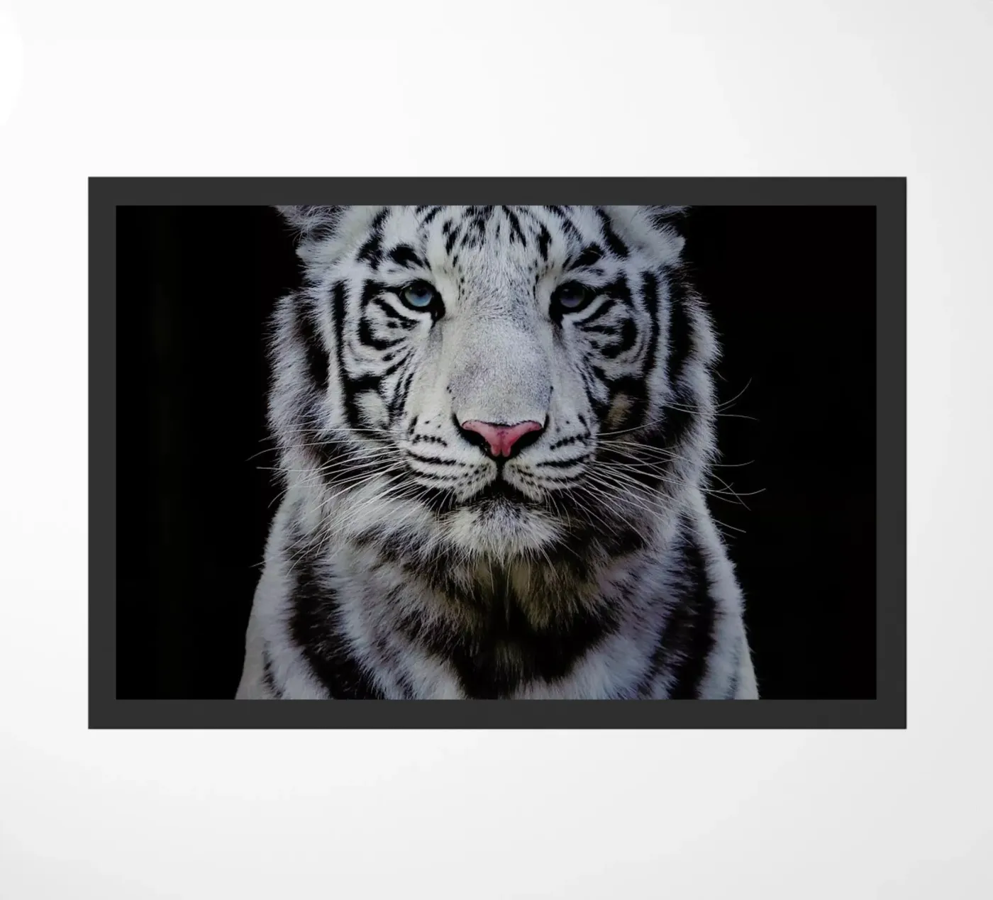 White Tiger zerbino da Natural Kingdom
