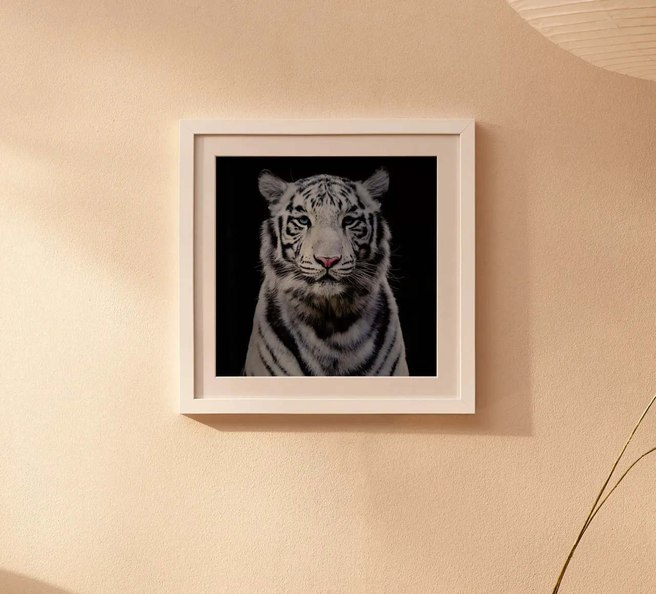 White Tiger poster da Natural Kingdom