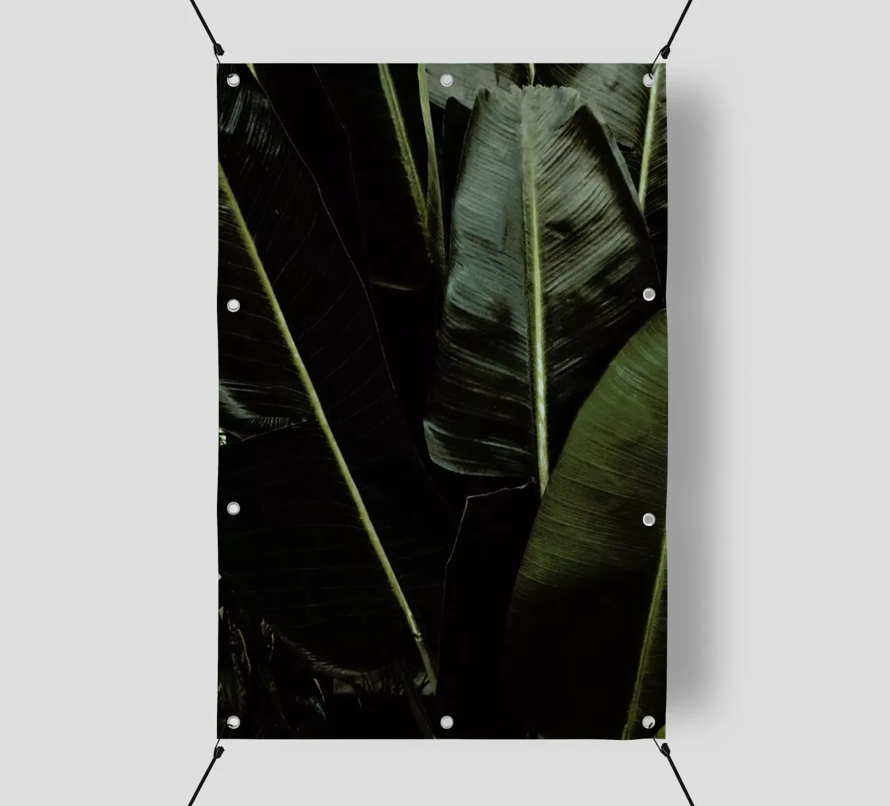 Tropical Plant Textures pvc cover by Sebastian Hilgetag