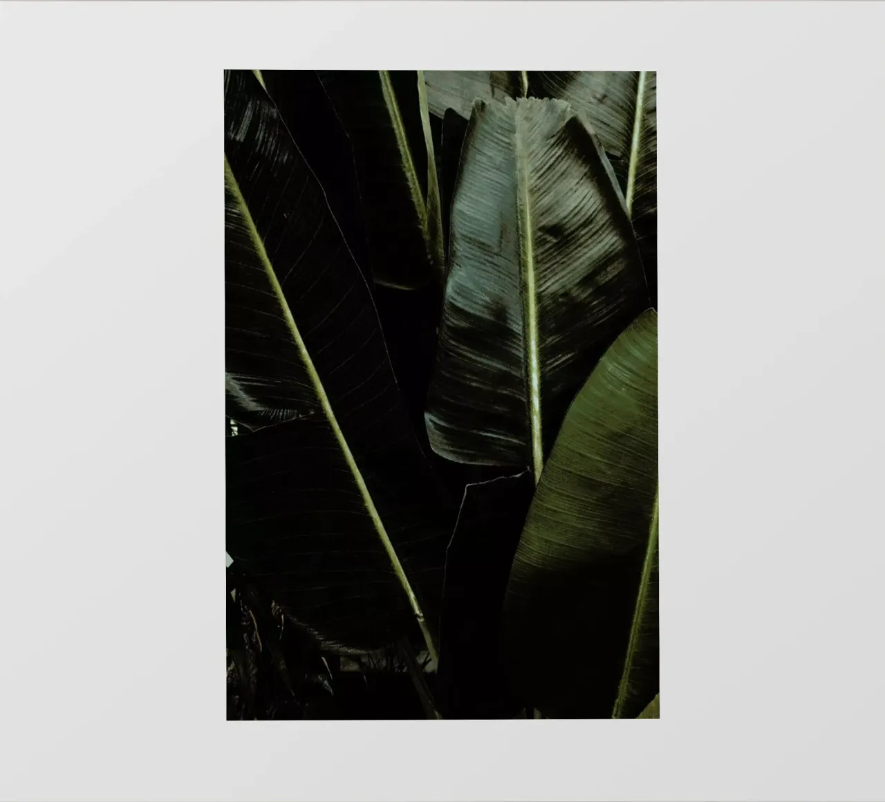 Tropical Plant Textures pvc cover by Sebastian Hilgetag