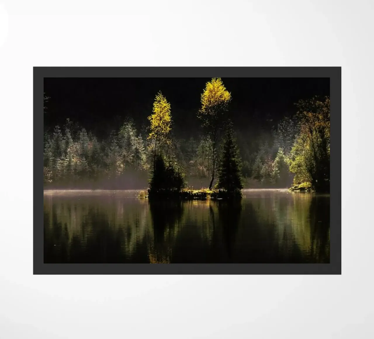 Awakening zerbino da METROPOLIS