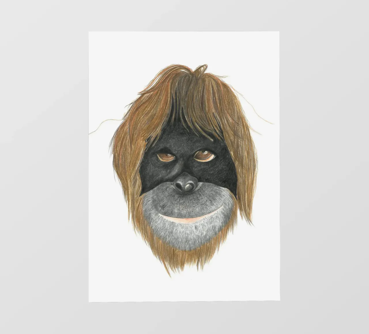 Orangutan pellicola backlit da PENCILS & TALES