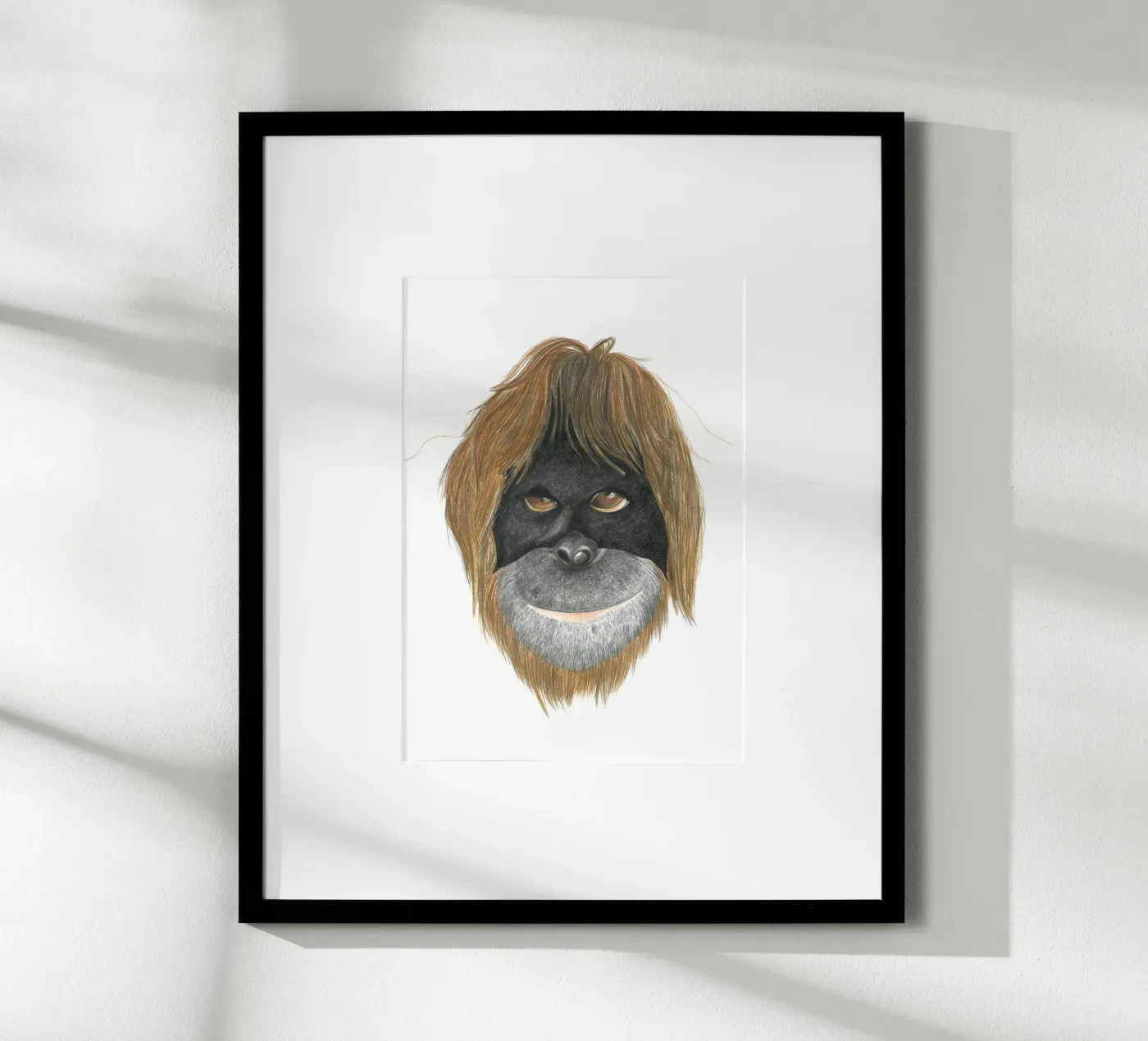 Orangutan poster da PENCILS & TALES