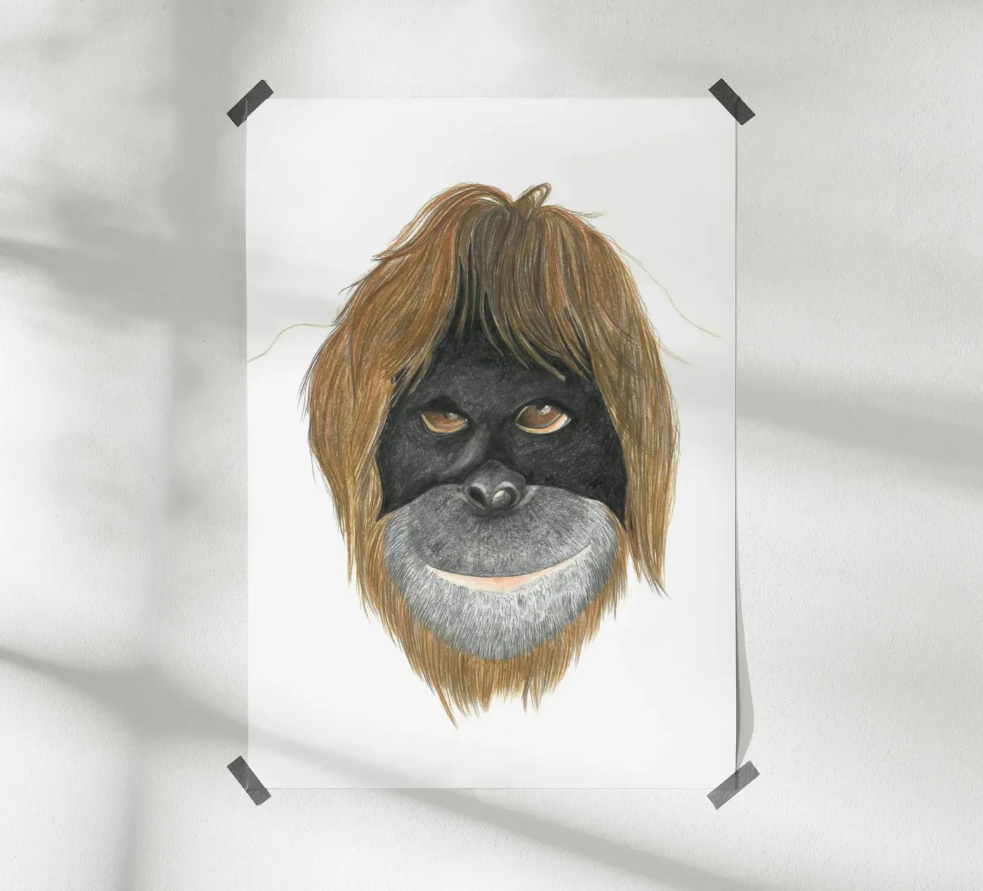 Orangutan poster da PENCILS & TALES