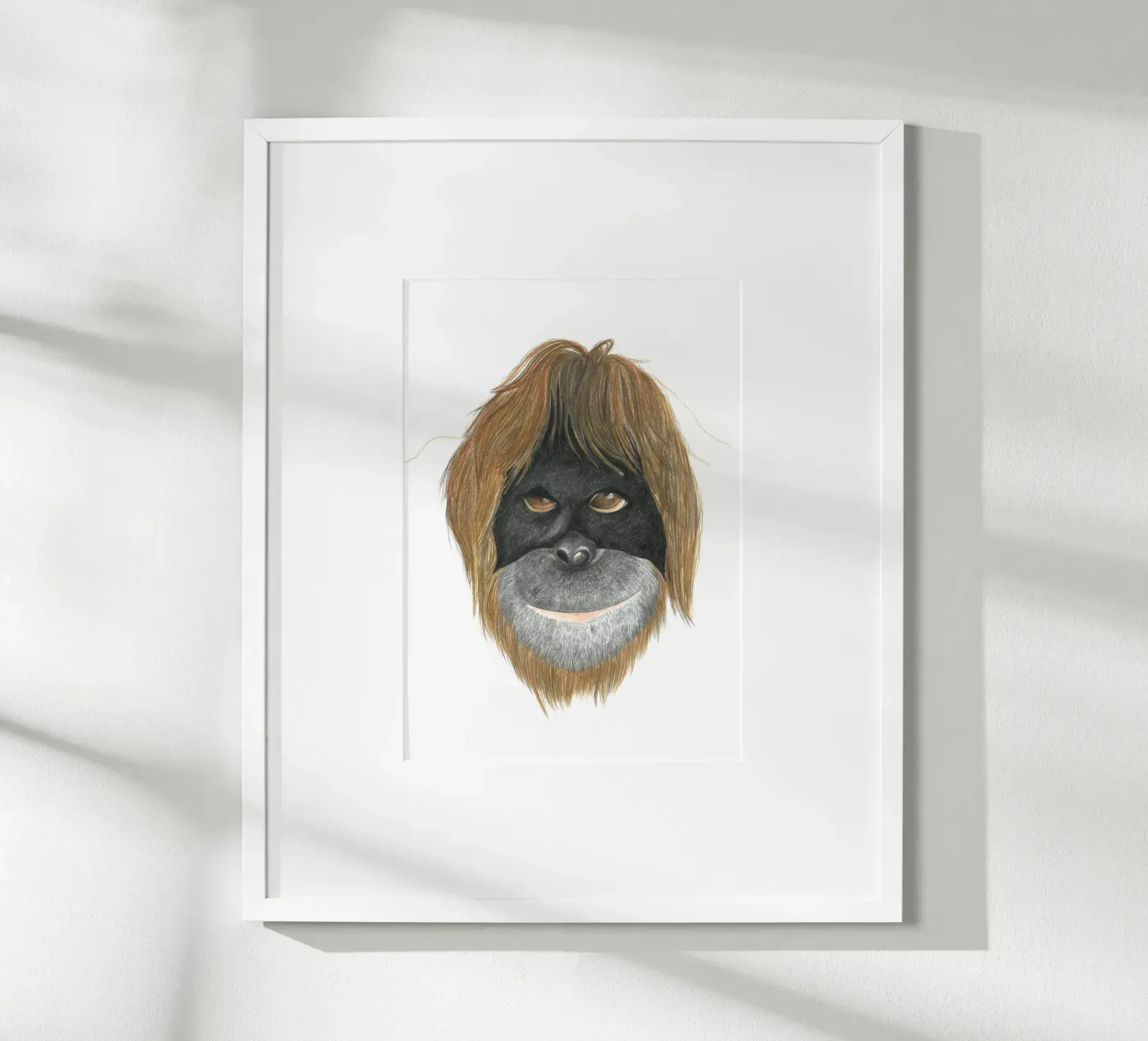 Orangutan poster da PENCILS & TALES