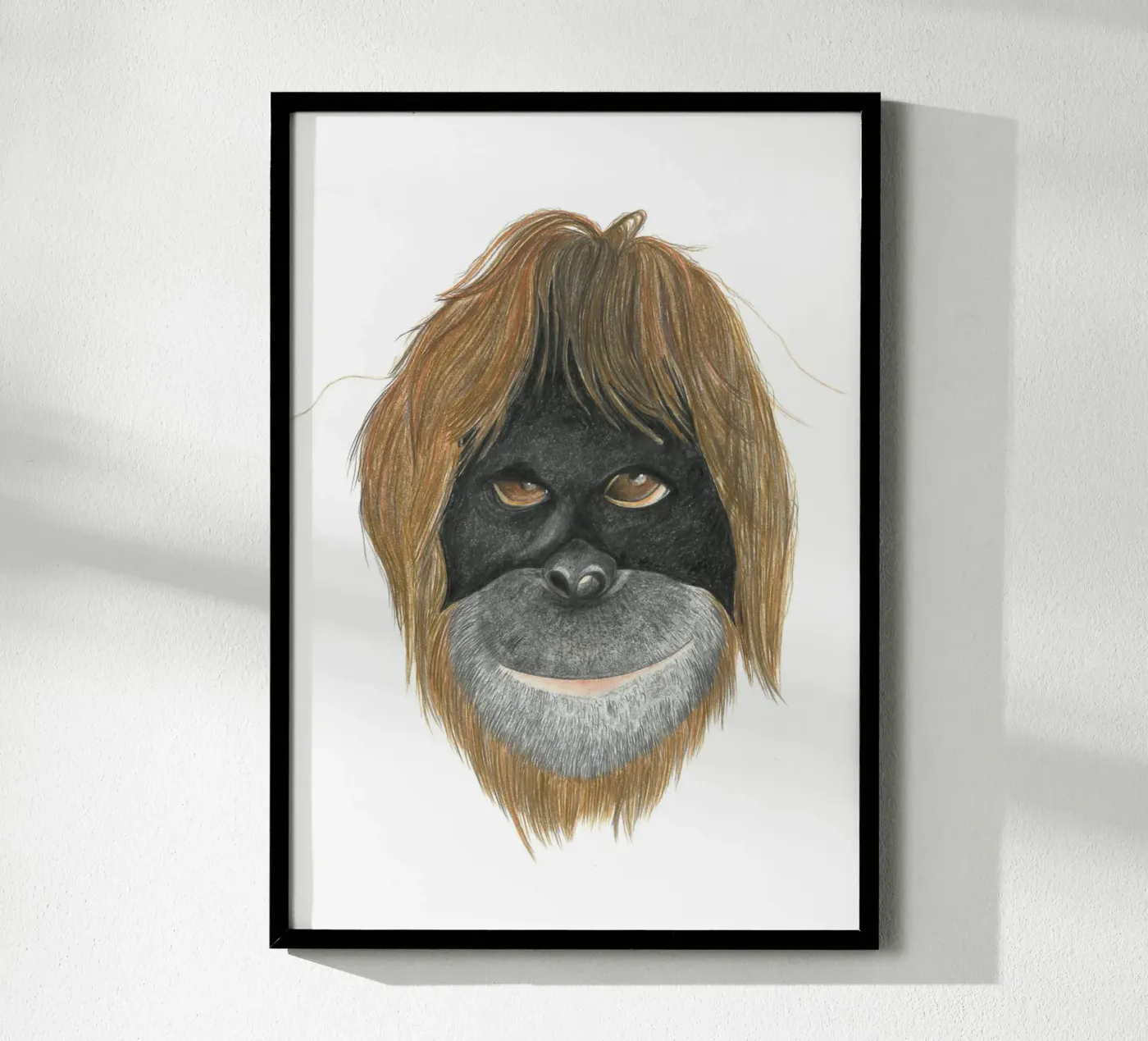 Orangutan poster da PENCILS & TALES