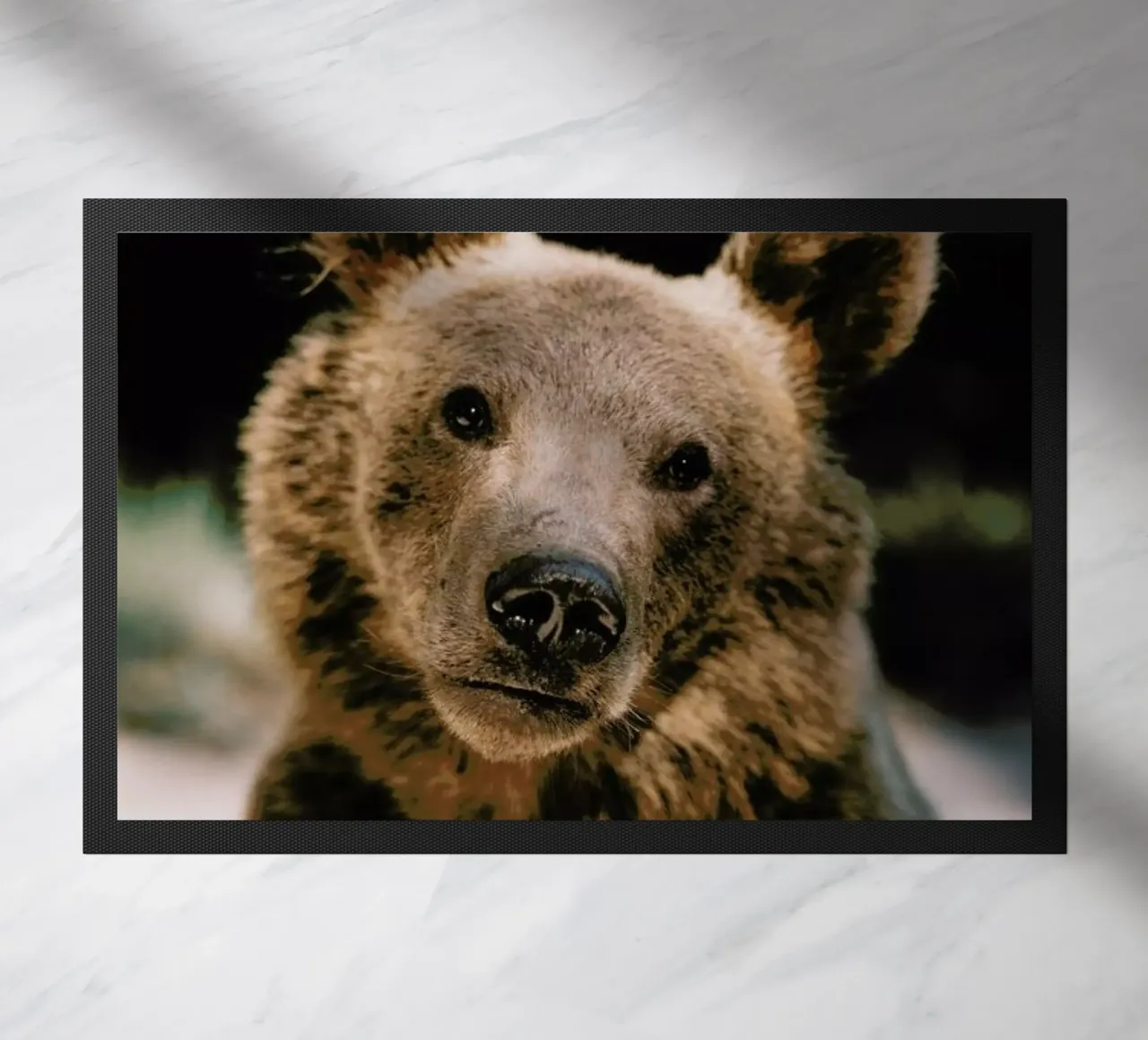 Closer Than You Think zerbino da Natural Kingdom