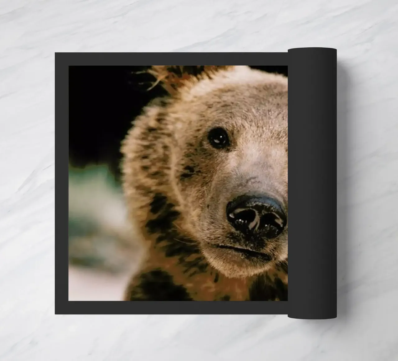 Closer Than You Think zerbino da Natural Kingdom