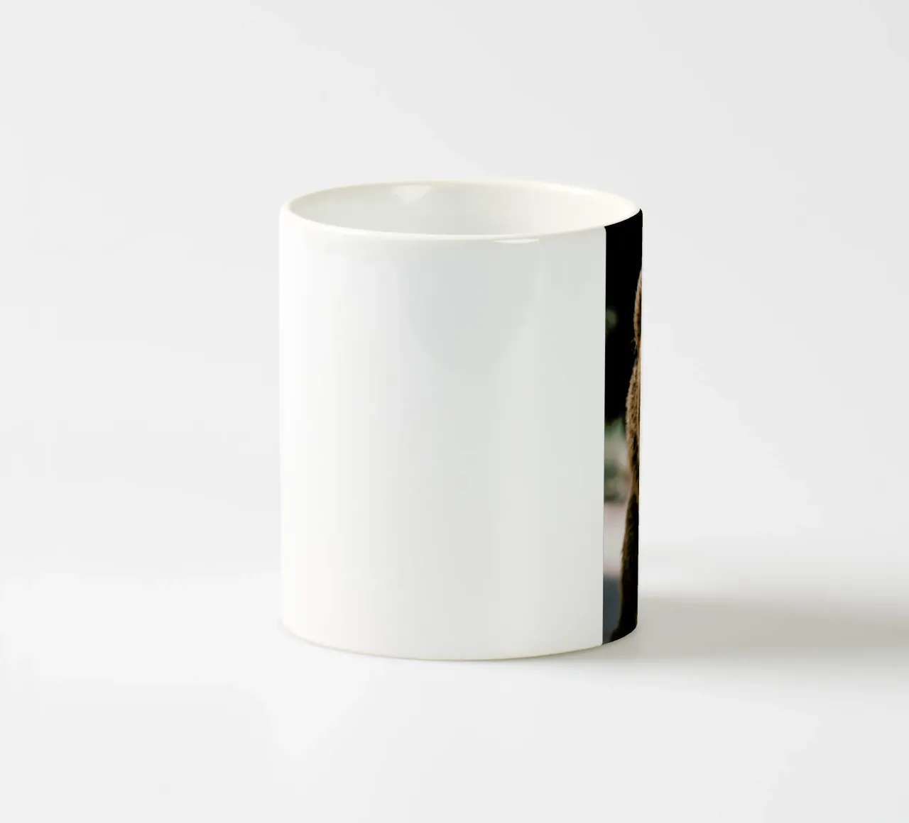 Closer Than You Think tazza in ceramica da Natural Kingdom
