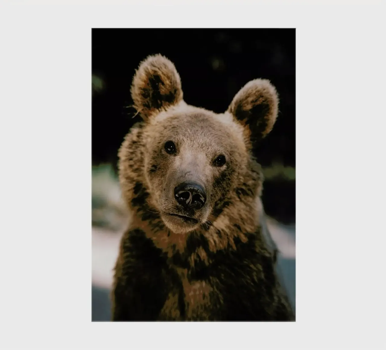 Closer Than You Think notebook by Natural Kingdom