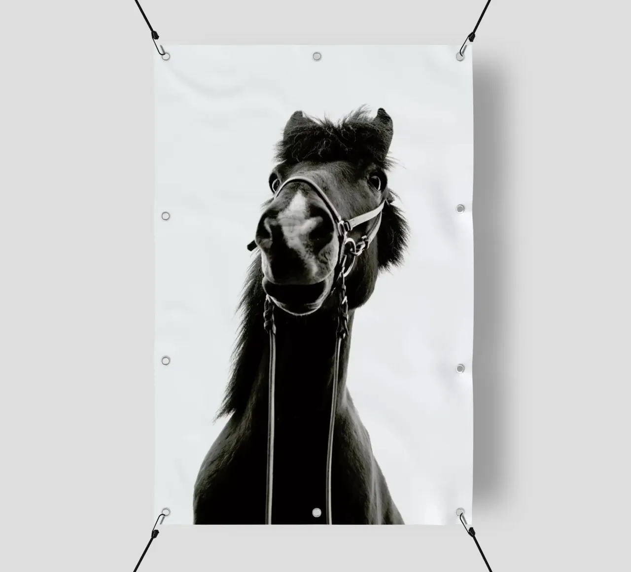 All Reigned Up With Nowhere To Go telo in pvc da Natural Kingdom