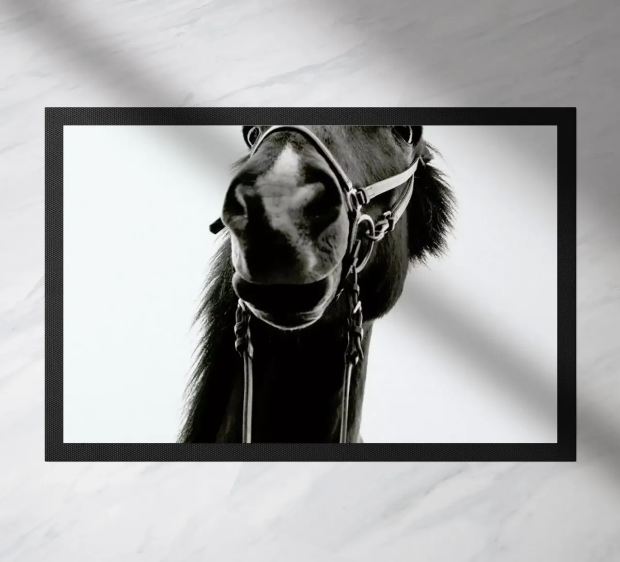 All Reigned Up With Nowhere To Go zerbino da Natural Kingdom