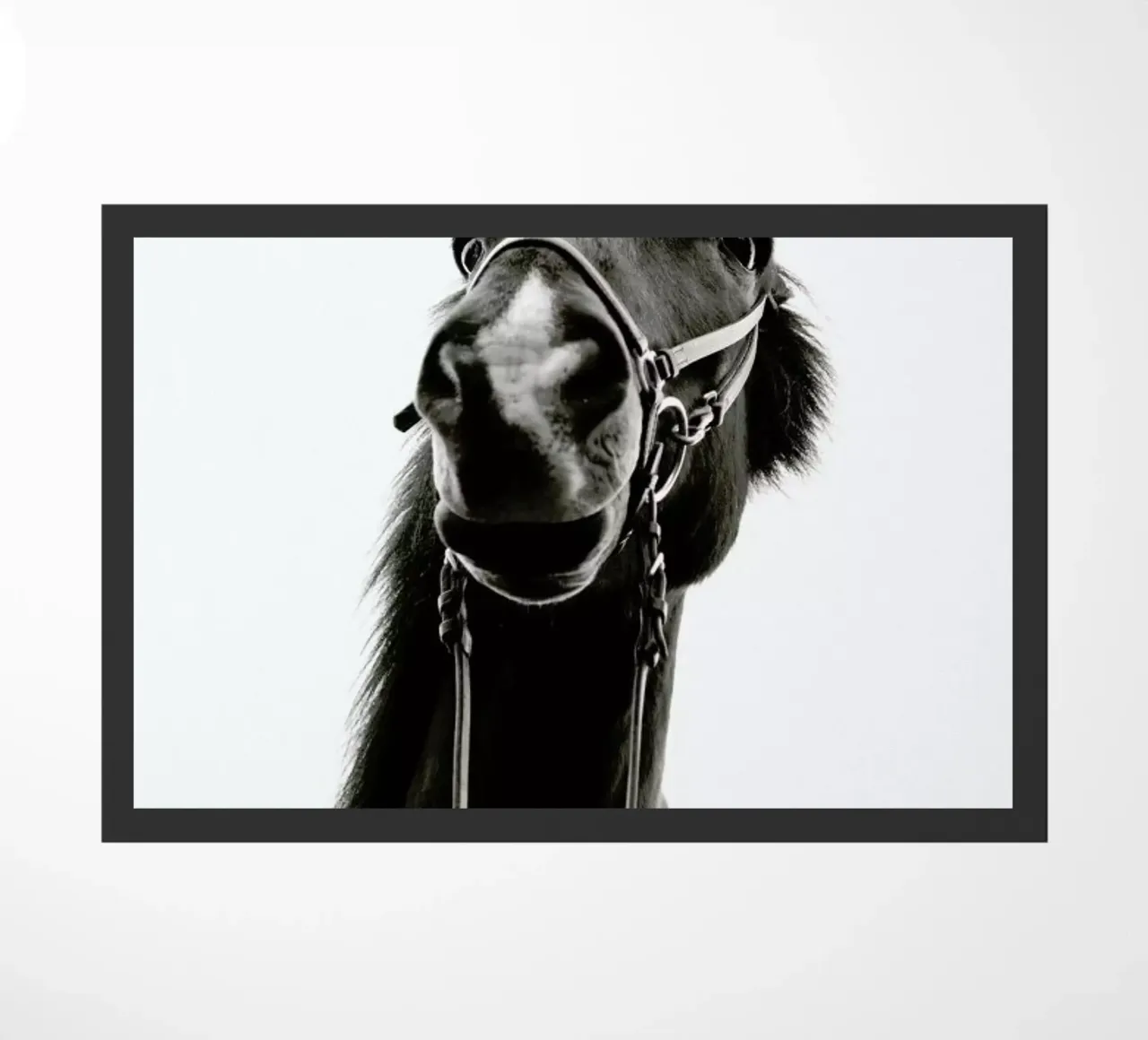 All Reigned Up With Nowhere To Go zerbino da Natural Kingdom