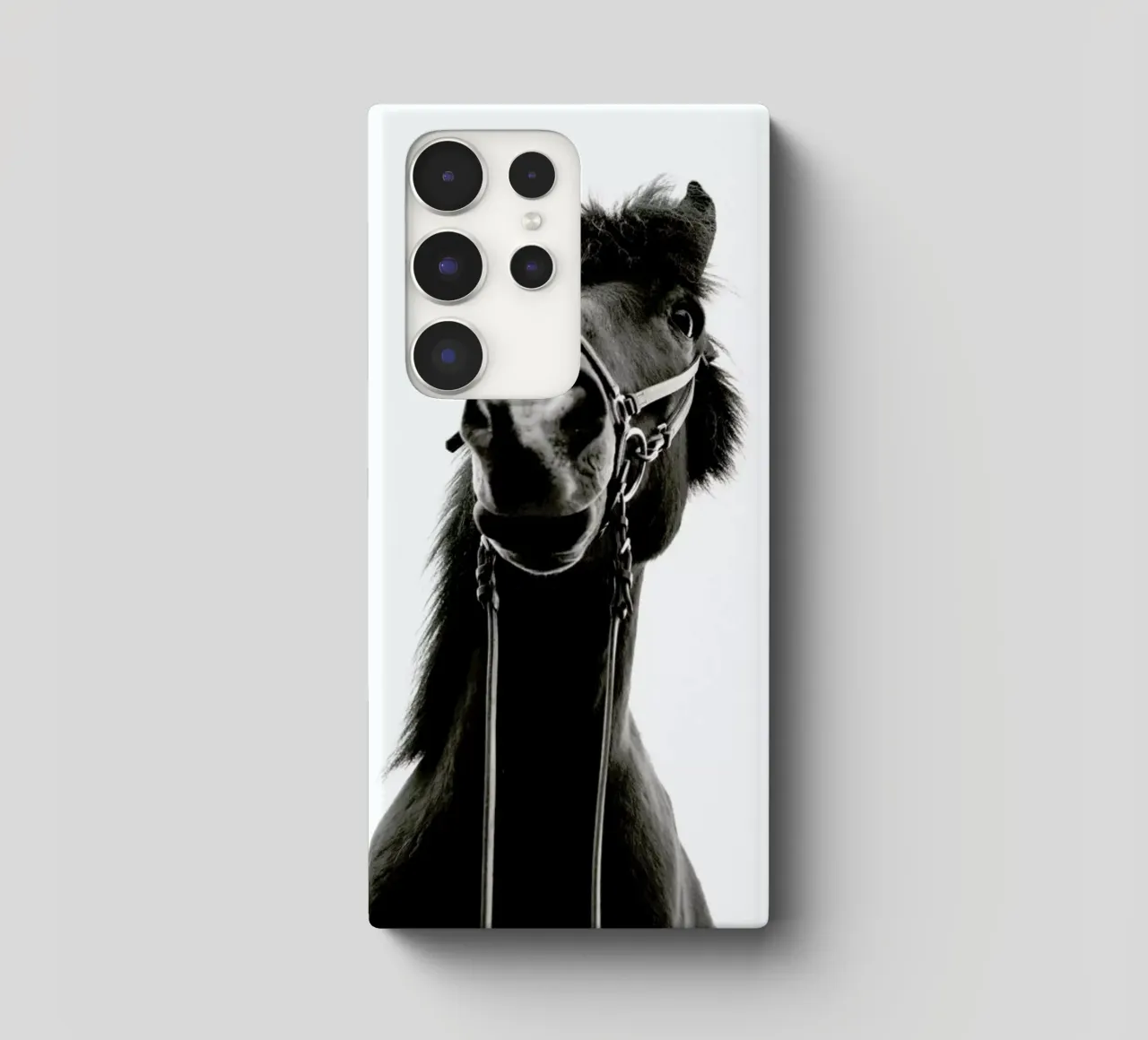 All Reigned Up With Nowhere To Go cover samsung da Natural Kingdom