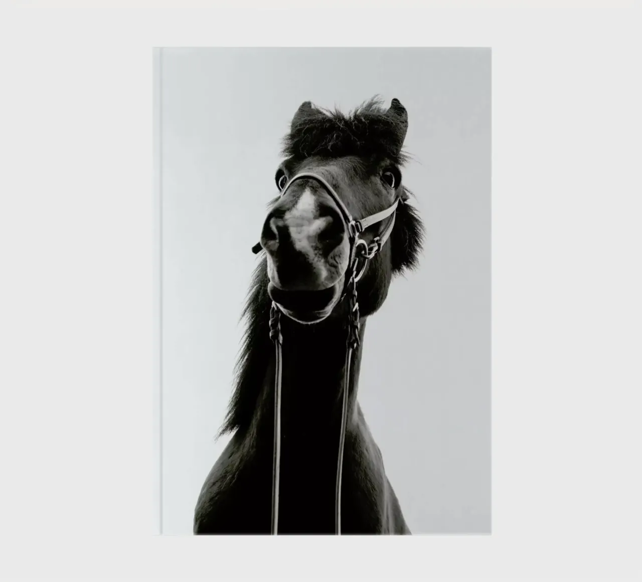 All Reigned Up With Nowhere To Go notebook by Natural Kingdom